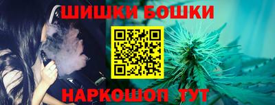 индика Заводоуковск