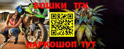 индика Заводоуковск